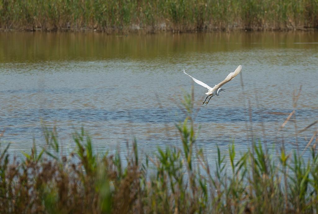 Valgrande Bibione Casone Villa Dış mekan fotoğraf