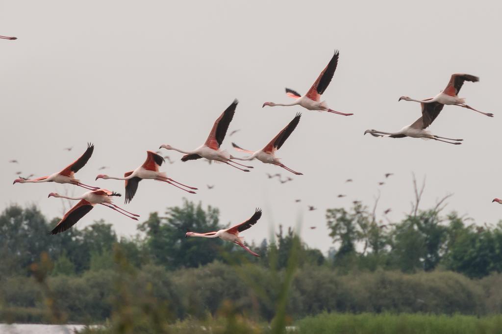 Valgrande Bibione Casone Villa Dış mekan fotoğraf