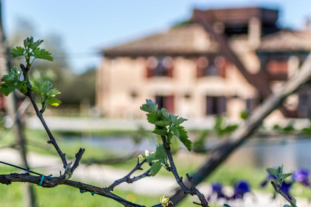 Valgrande Bibione Casone Villa Dış mekan fotoğraf
